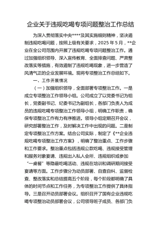 公司违规吃喝专项问题整治工作总结