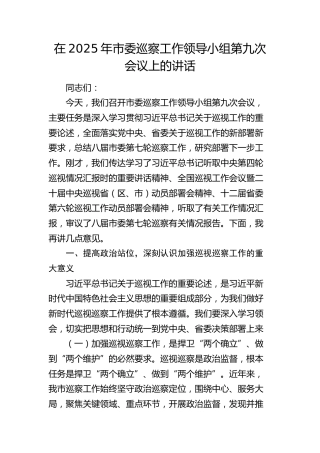 市委巡察工作领导小组第九次会议上的讲话