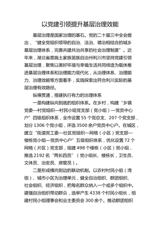 理论发言：以党建引领提升基层治理效能