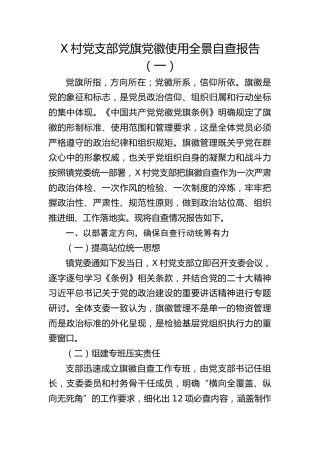 X村党支部党旗党徽使用全景自查报告