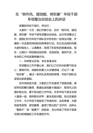 在“转作风、提效能、树形象”年轻干部专项整治总结会上的讲话(1)