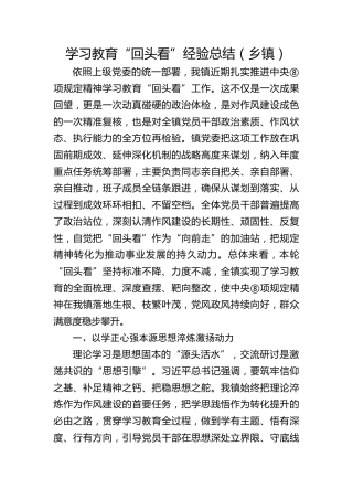 乡镇八项规定精神学习教育“回头看”经验总结8300字