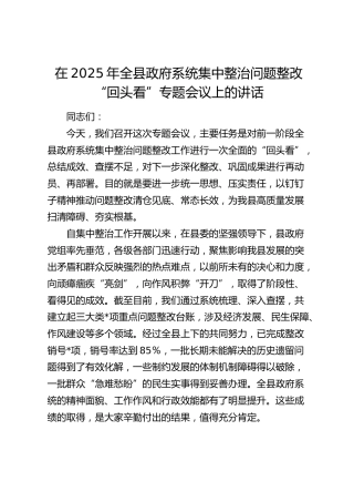 全县政府系统集中整治问题整改“回头看”专题会议上的讲话