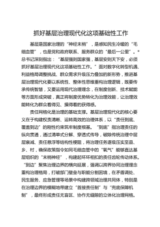 理论发言：抓好基层治理现代化这项基础性工作