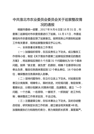 八届市委第二轮巡察整改情况3篇