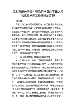 市民政系统关于集中整治群众身边不正之风和腐败问题工作情况的总结汇报
