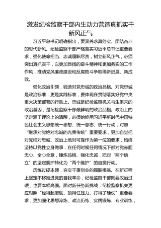 激发纪检监察干部内生动力 营造真抓实干新风正气