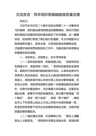 交流发言：筑牢组织根基  赋能高质量发展