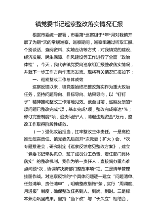 乡镇巡察整改落实情况总结汇报