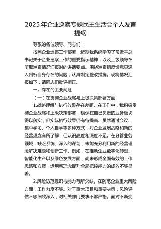 公司巡察专题民主生活会个人发言提纲