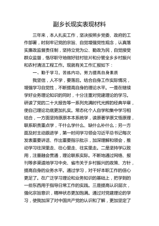 副镇长现实表现（乡镇）