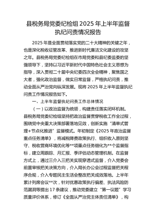 县税务局纪检组2025年上半年监督执纪问责情况报告