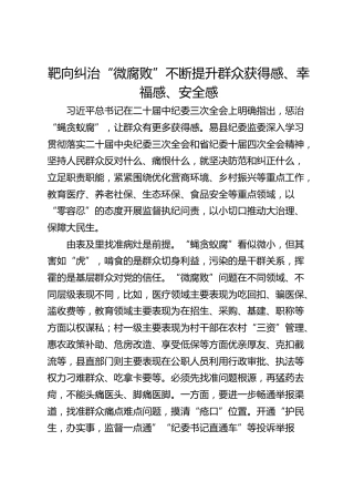 靶向纠治“微腐败” 不断提升群众获得感、幸福感、安全感
