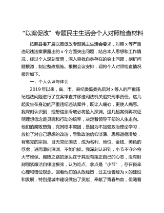 “以案促改”专题民主生活会个人对照检查4300字