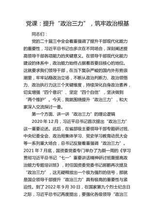 党课：提升“政治三力”，筑牢政治根基（纪检）