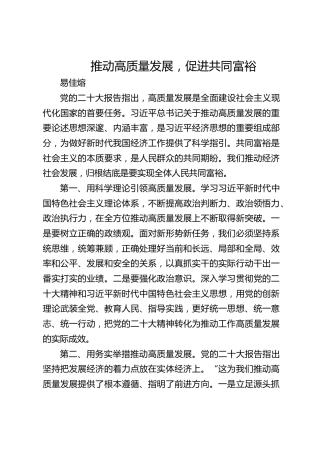 推动高质量发展，促进共同富裕中心发言