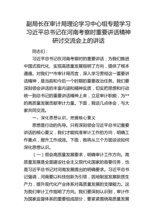 在审计局中心组专题学习习近平总书记在河南考察时重要讲话精神研讨交流会上的讲话