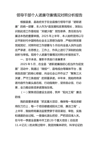 领导干部诺廉守廉情况对照分析报告