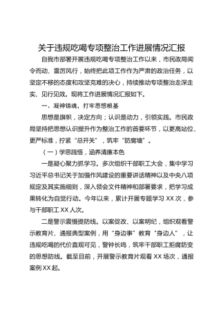 违规吃喝专项整治工作进展情况总结汇报