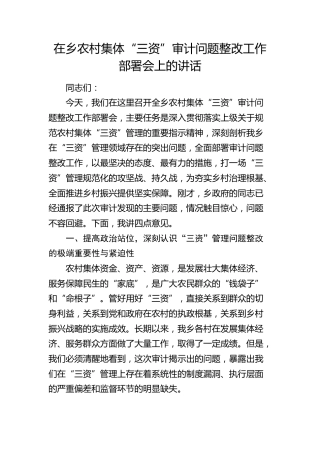在乡镇农村集体“三资”审计问题整改工作部署会上的讲话