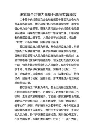 统筹整合监督力量 提升基层监督质效