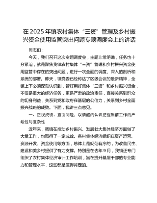 乡镇农村集体“三资”管理及乡村振兴资金使用监管突出问题专题调度会上的讲话