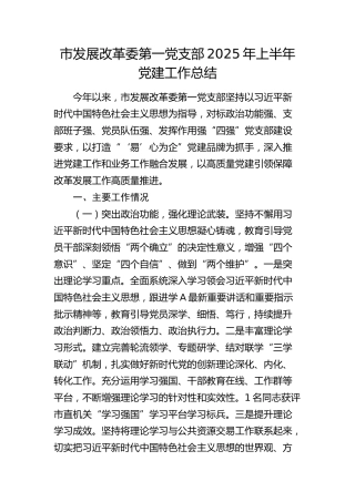 市发改委党支部2025年上半年党建工作总结