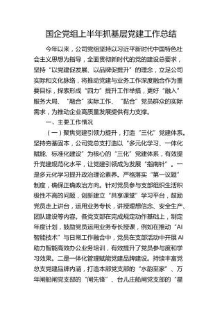 国企党组上半年抓党建工作总结3300字（公司）