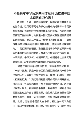 不断铸牢中华民族共同体意识 为推进中国式现代化凝心聚力