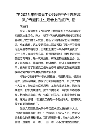 街道党工委领导班子生态环境保护专题民主生活会上的点评讲话
