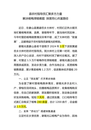 县农村指导员汇聚多方力量解决杨梅滞销难题 探索同心共富路径（改）