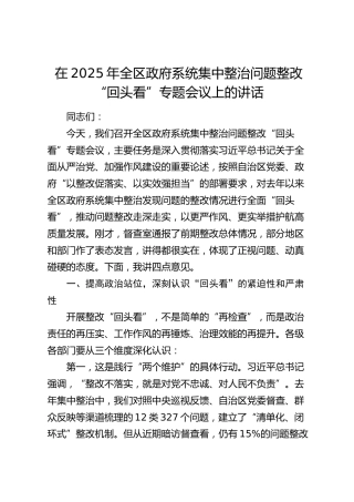 全区政府系统集中整治问题整改“回头看”专题会议上的讲话