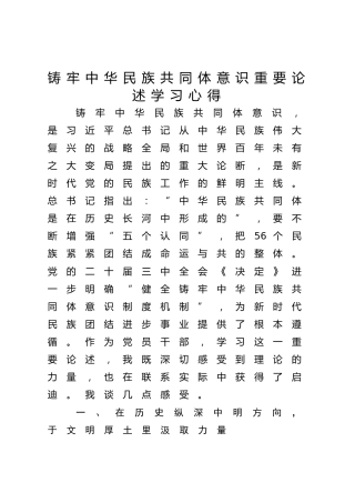 学习关于铸牢中华民族共同体意识的重要论述学习心得体会