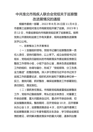 市残疾人联合会党组关于巡察整改进展情况的通报