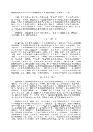 铿锵玫瑰无悔青春——记全国检察机关刑事执行检察“业务能手”王丽