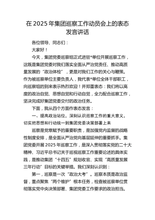 公司巡察工作动员会上的表态发言讲话