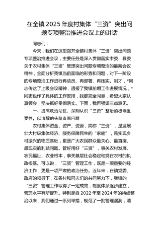 乡镇2025年度村集体“三资”突出问题专项整治推进会议上的讲话