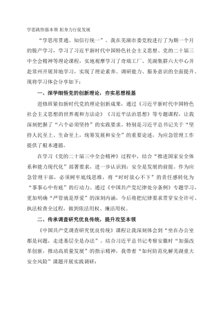 学思践悟强本领 躬身力行促发展