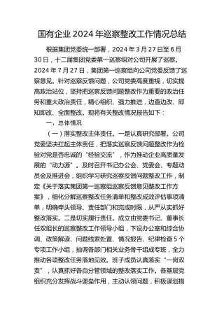 国企公司巡察整改工作情况总结报告1