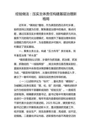 乡镇党建引领基层治理经验总结