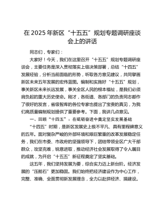 在2025年新区“十五五”规划专题调研座谈会上的讲话(1)