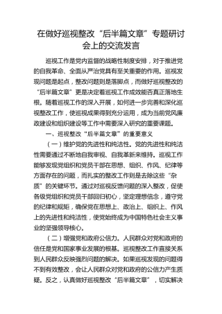在做好巡视（巡察）整改“后半篇文章”专题研讨会上的交流发言