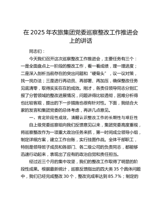 农旅公司党委巡察整改工作推进会上的讲话