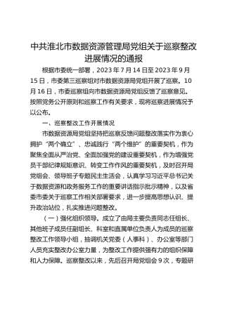 市数据资源管理局党组关于巡察整改进展情况的通报