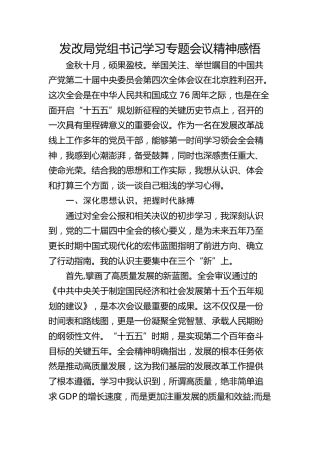 （四中全会）发改局党组书记学习专题会议精神感悟