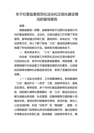 纪委监委规范化法治化正规化建设情况的督导报告（三化）