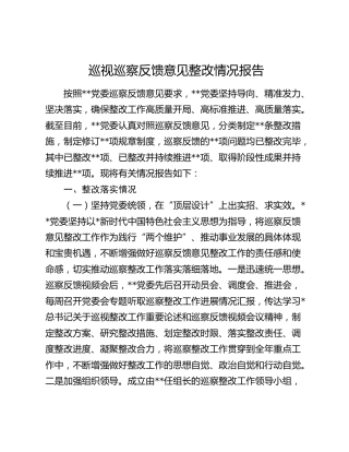 巡视（巡察）反馈意见整改情况报告