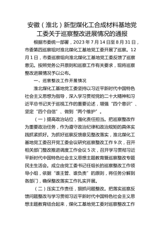 新型煤化工合成材料基地党工委关于巡察整改进展情况的通报