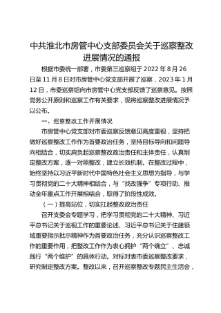 市房管中心支部委员会关于巡察整改进展情况的通报
