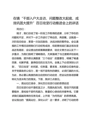 乡镇“干部入户大走访、问题整改大起底、成效巩固大提升”百日攻坚行动推进会上的讲话